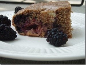 berry almond walnut protein cake bars