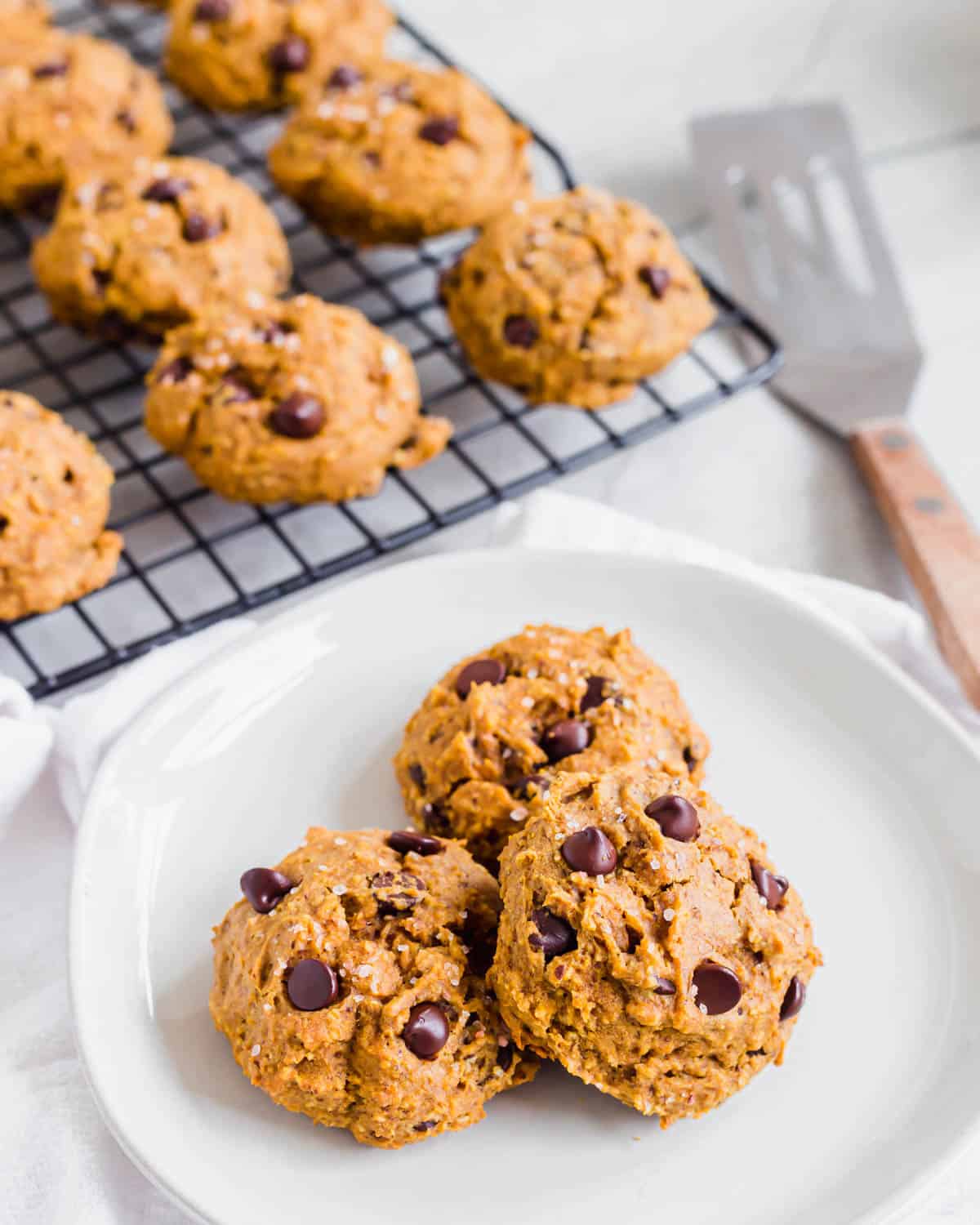 Three chewy vegan chocolate chip pumpkin cookies on plate with more cookies on a cooling rack in the background.