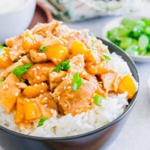 slow cooker honey garlic chicken