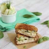 Panini with cheddar, chicken and fennel