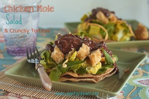 Chicken mole