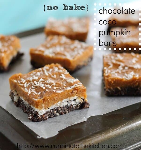 No bake chocolate coco pumpkin bars