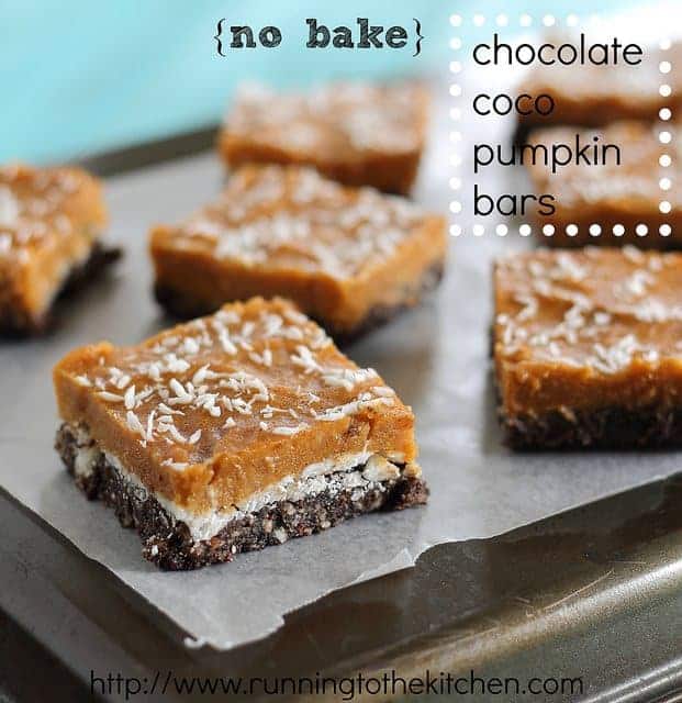 These no bake chocolate coconut pumpkin bars are a paleo treat made with pumpkin, dates, cocoa and coconut. Delicious and guilt-free!