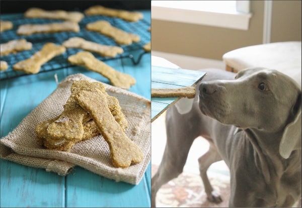 Homemade Pumpkin Dog Treat Recipe for your pup!