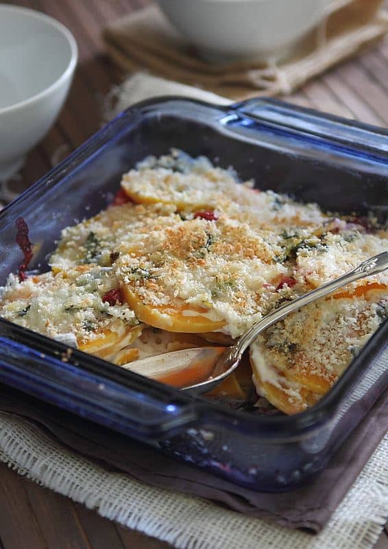 Butternut Squash and Cranberry Gratin | Thanksgiving Recipes For Everyone At The Dinner Table | Thanksgiving Recipes | best thanksgiving recipes