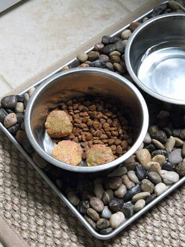 Homemade raw dog food