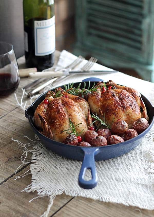 These cranberry apple stuffed cornish hens are roasted in the oven over a bed of red potatoes. It's a simple, elegant fall meal you'll make over and over.