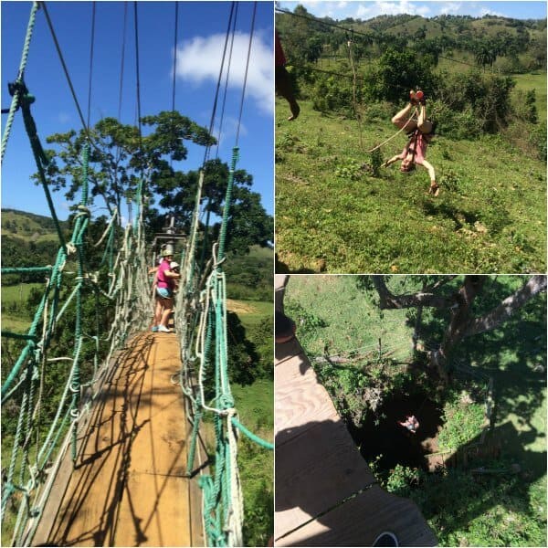 Zipline collage