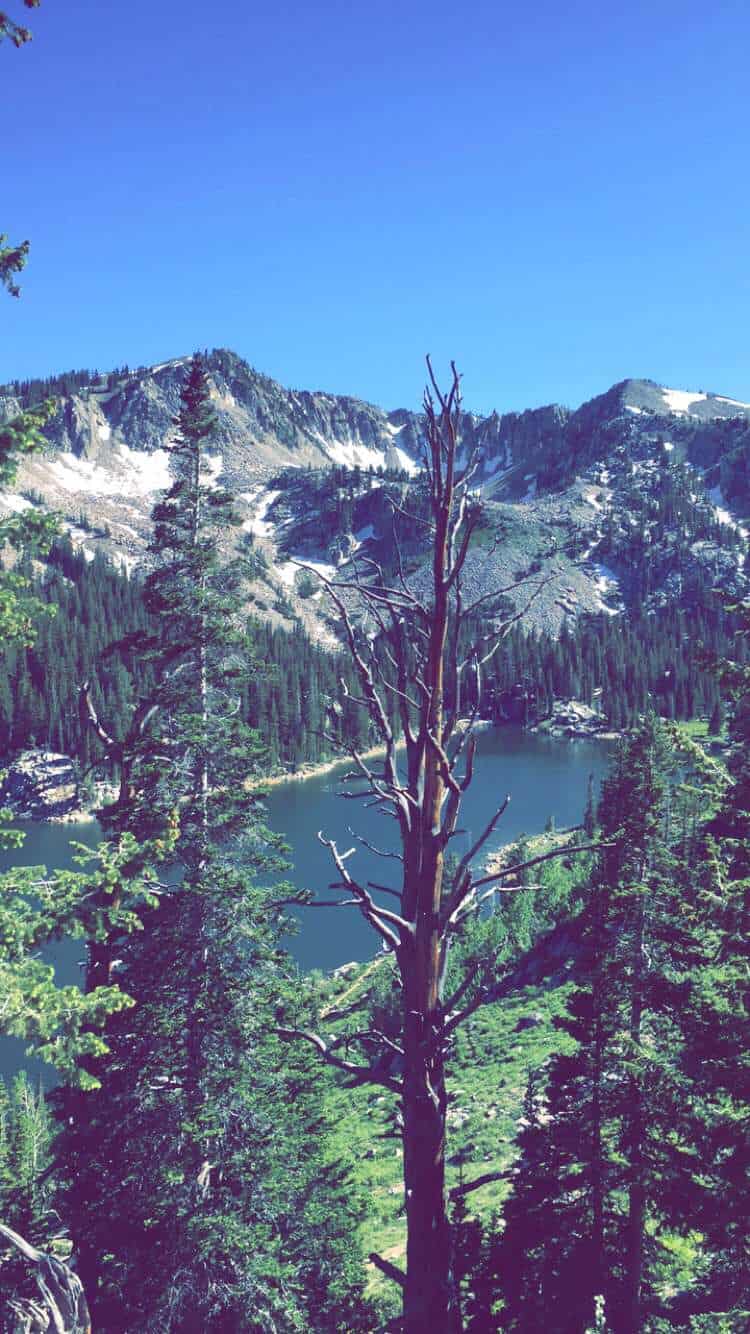 View from the summit at Solitude Mountain, Utah