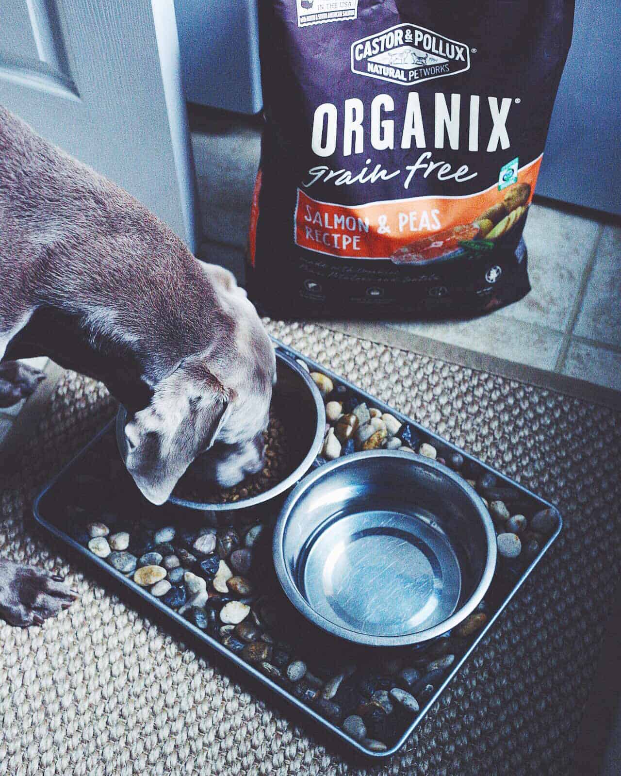 ORGANIX grain free salmon and peas recipe dog food