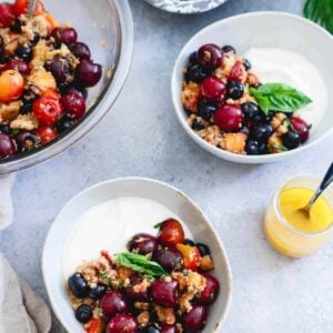 This summer fruit panzanella is full of sweet, ripe cherries, blueberries, grilled nectarines, toasted gluten-free blueberry muffins and a sweet citrus dressing. Spoon over yogurt, vanilla ice cream or eat as is for a light, summer-filled treat.