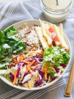 This kefir honey mustard dressing is creamy, tangy and boosted with both naturally occurring probiotics and a probiotic powder supplement to up your healthy salad game!