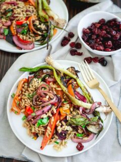 Summer vegetables are coated with a Montmorency tart cherry balsamic glaze, grilled and then combined with orzo for a deliciously seasonal pasta salad. Great served warm fresh off the grill or cold as a side dish at your summer get together.