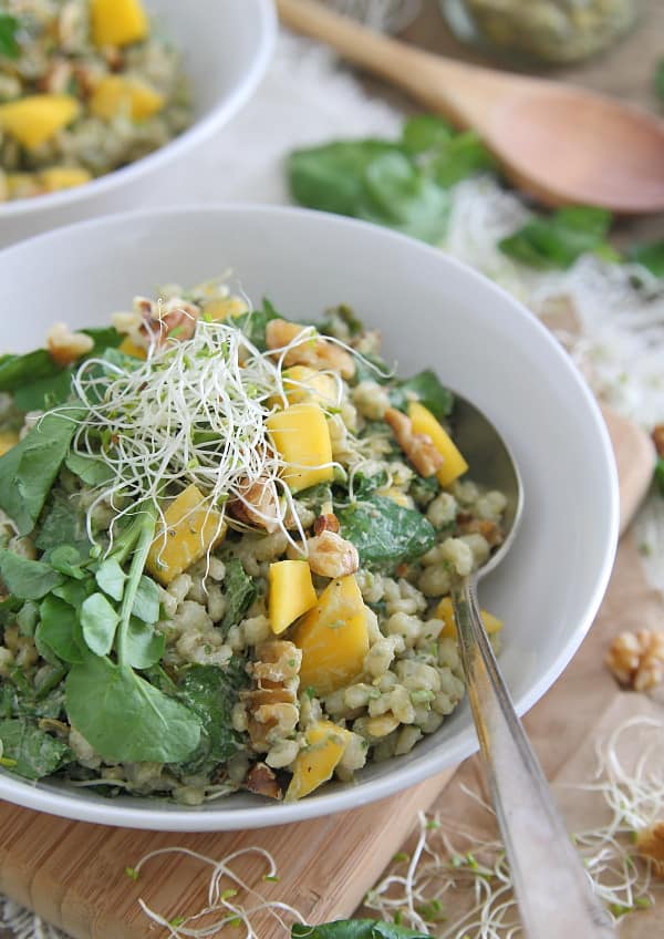 Barley Mango Salad with Avocado Yogurt Dressing
