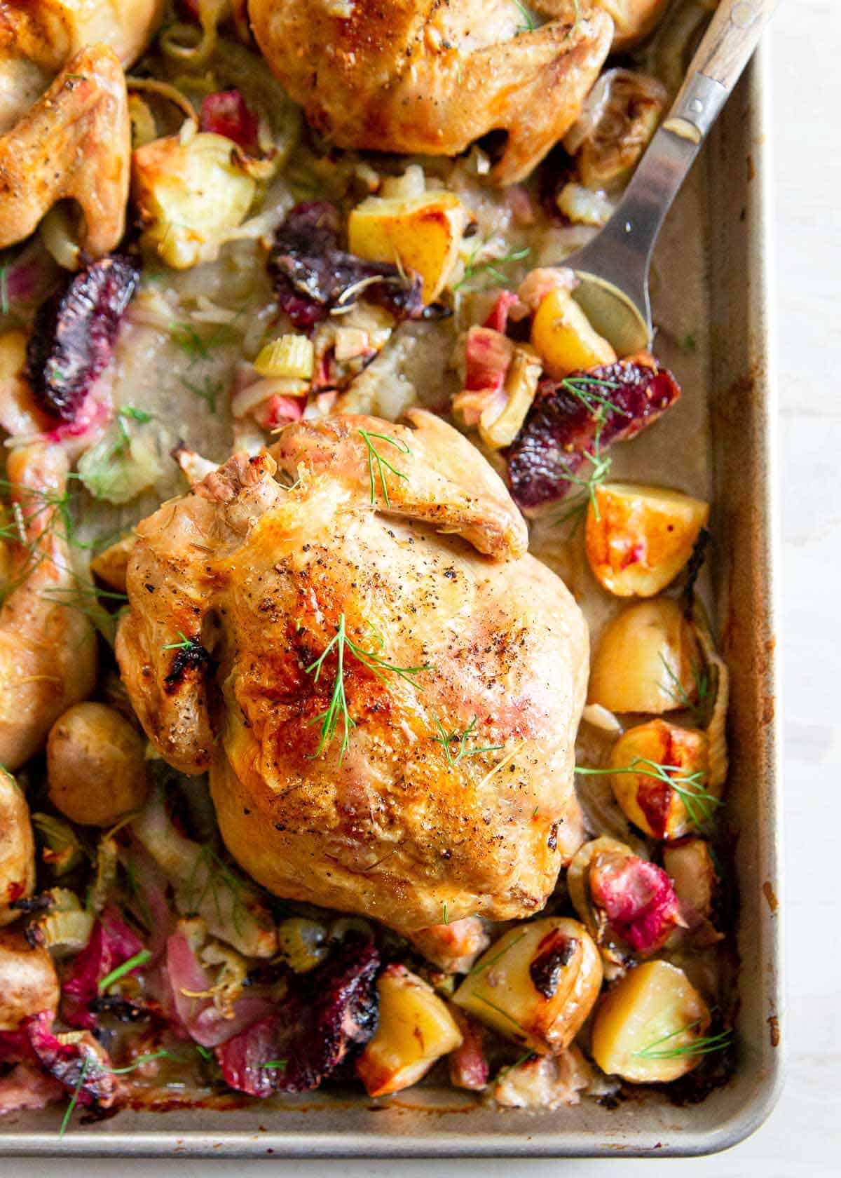 Making Cornish Game Hens is super simple with this sheet pan method. Rhubarb, blood oranges, fennel and potatoes are roasted with the Cornish Hens all on one pan for an easy spring dinner versatile enough for a weeknight or a holiday!