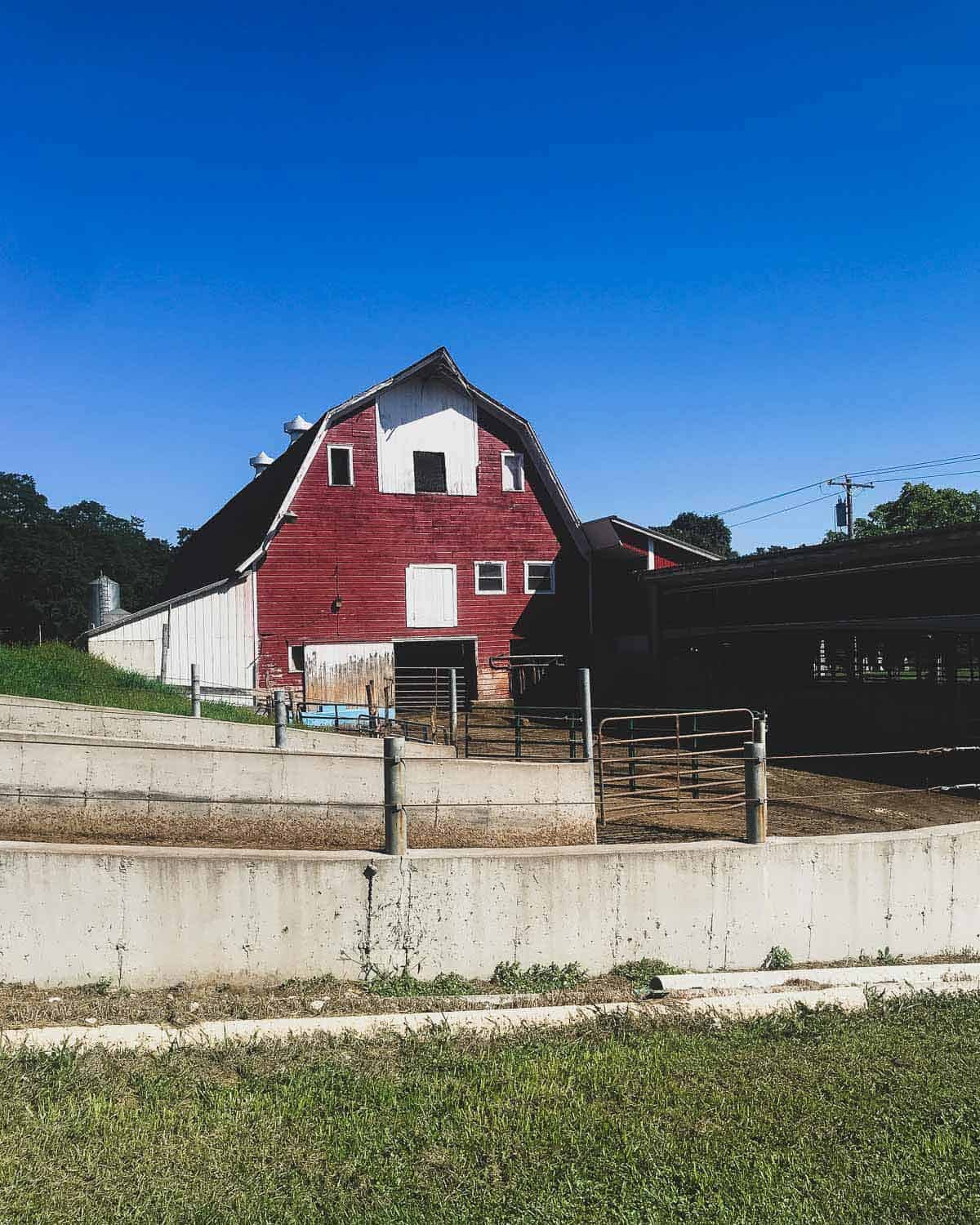 Coon Brothers Farm in Amenia, NY