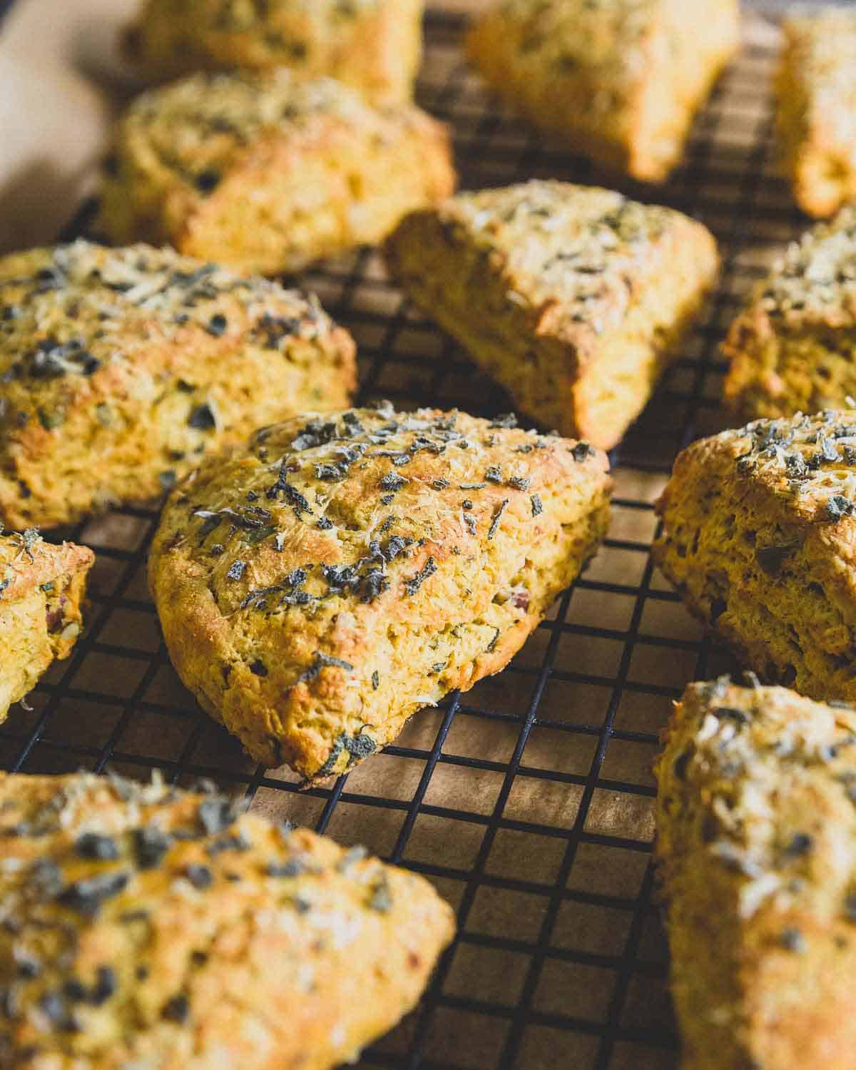 These pumpkin scones take a savory route with fresh herbs and parmesan cheese. They're a great alternative to biscuits or bread during the holidays!