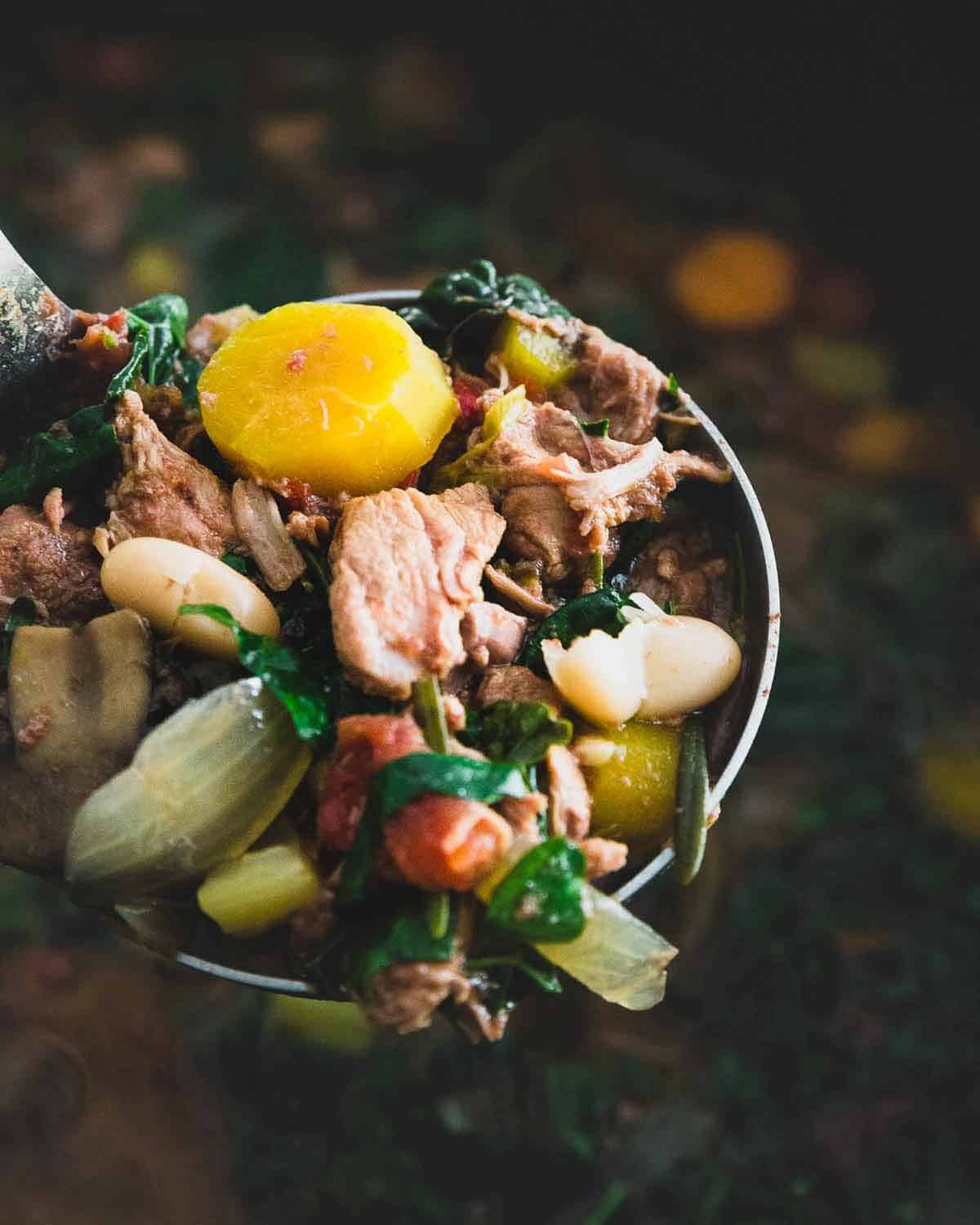 Pressure cooker lamb stew made with carrots, mushrooms, kale, tomatoes, white beans and rosemary.