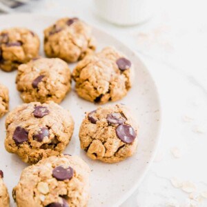 gluten-free vegan oatmeal chocolate chip cookies