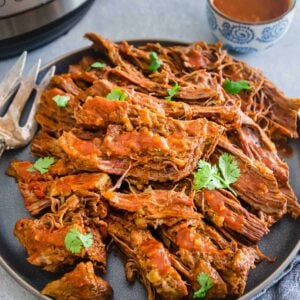 Instant Pot beef brisket