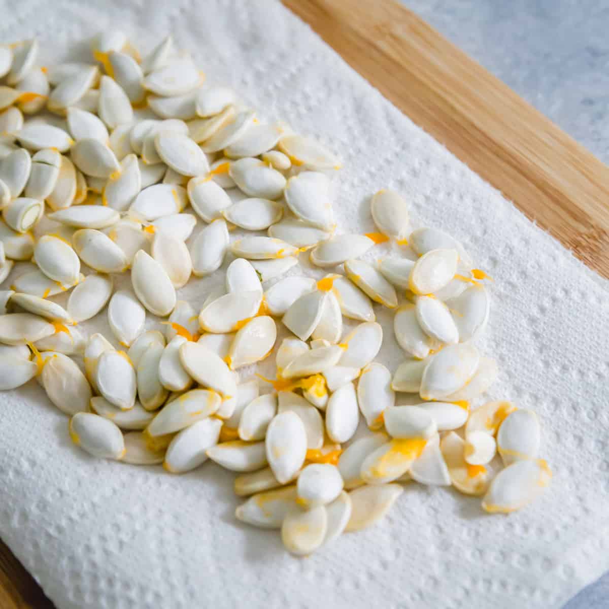 cleaned and rinsed winter squash seeds before roasting