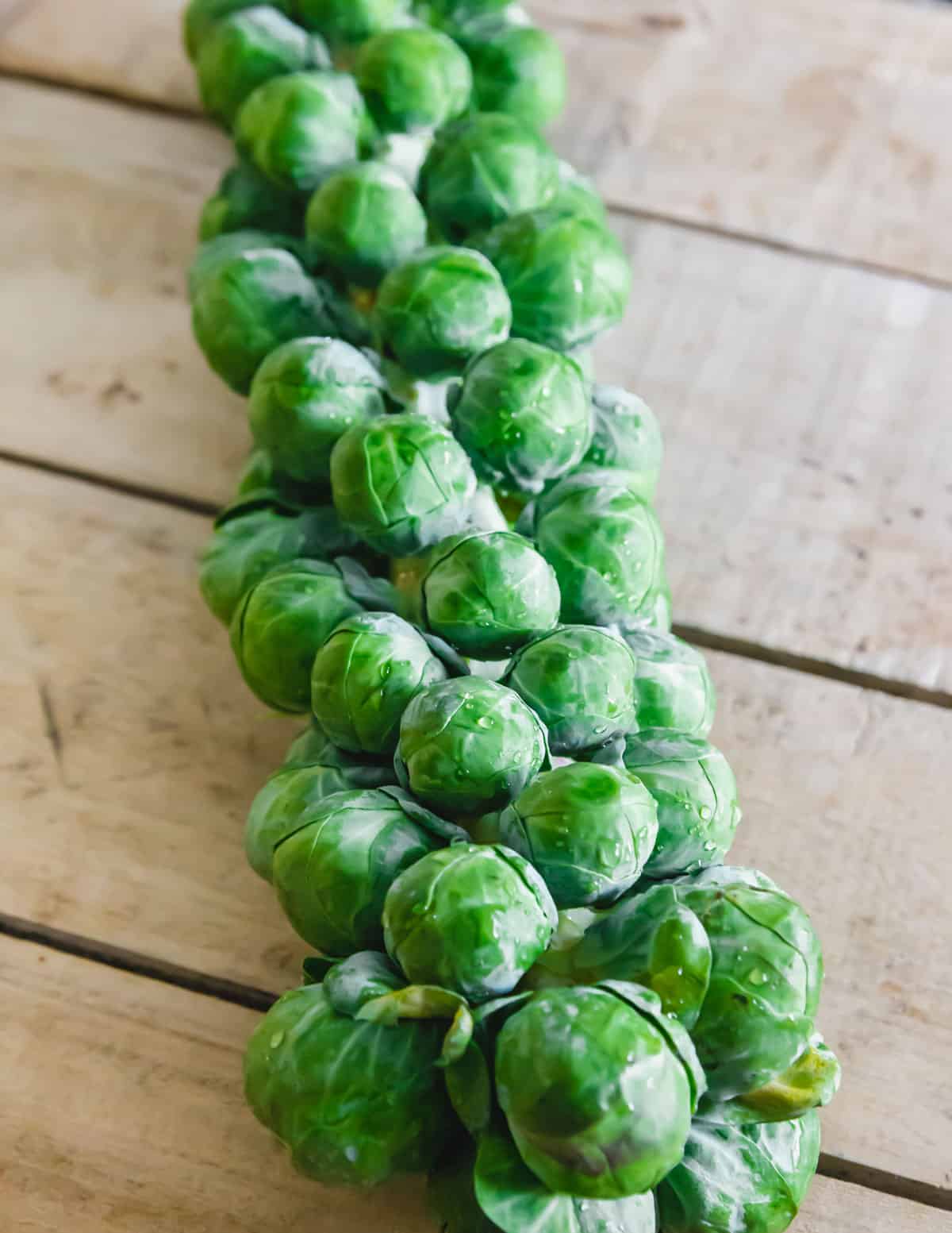 Brussels sprout stalk