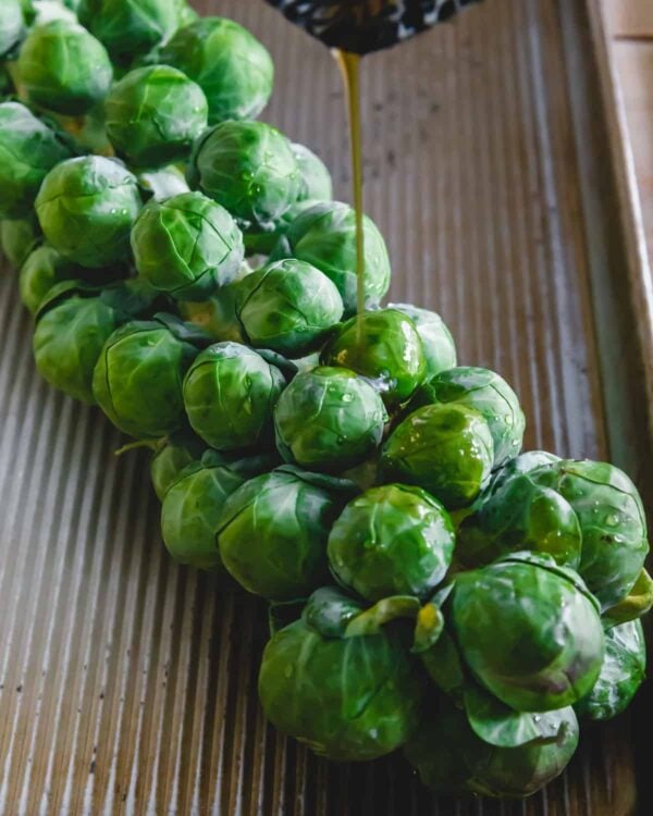 Brussel sprout stalk mokasinseal
