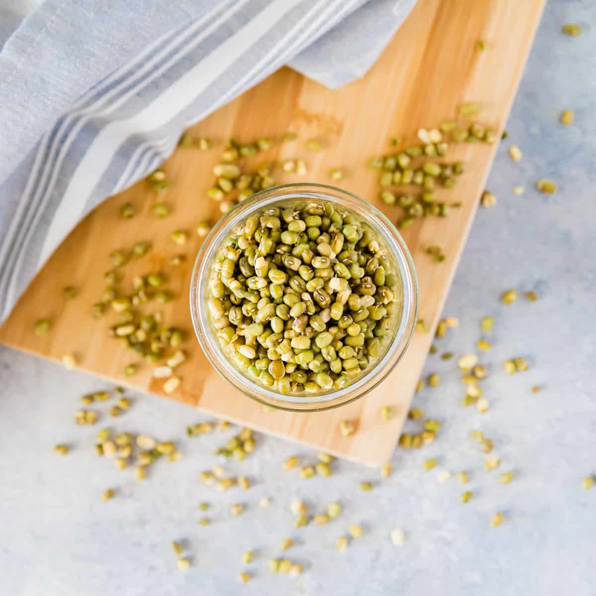 Sprouted organic dry mung beans in a glass jar.