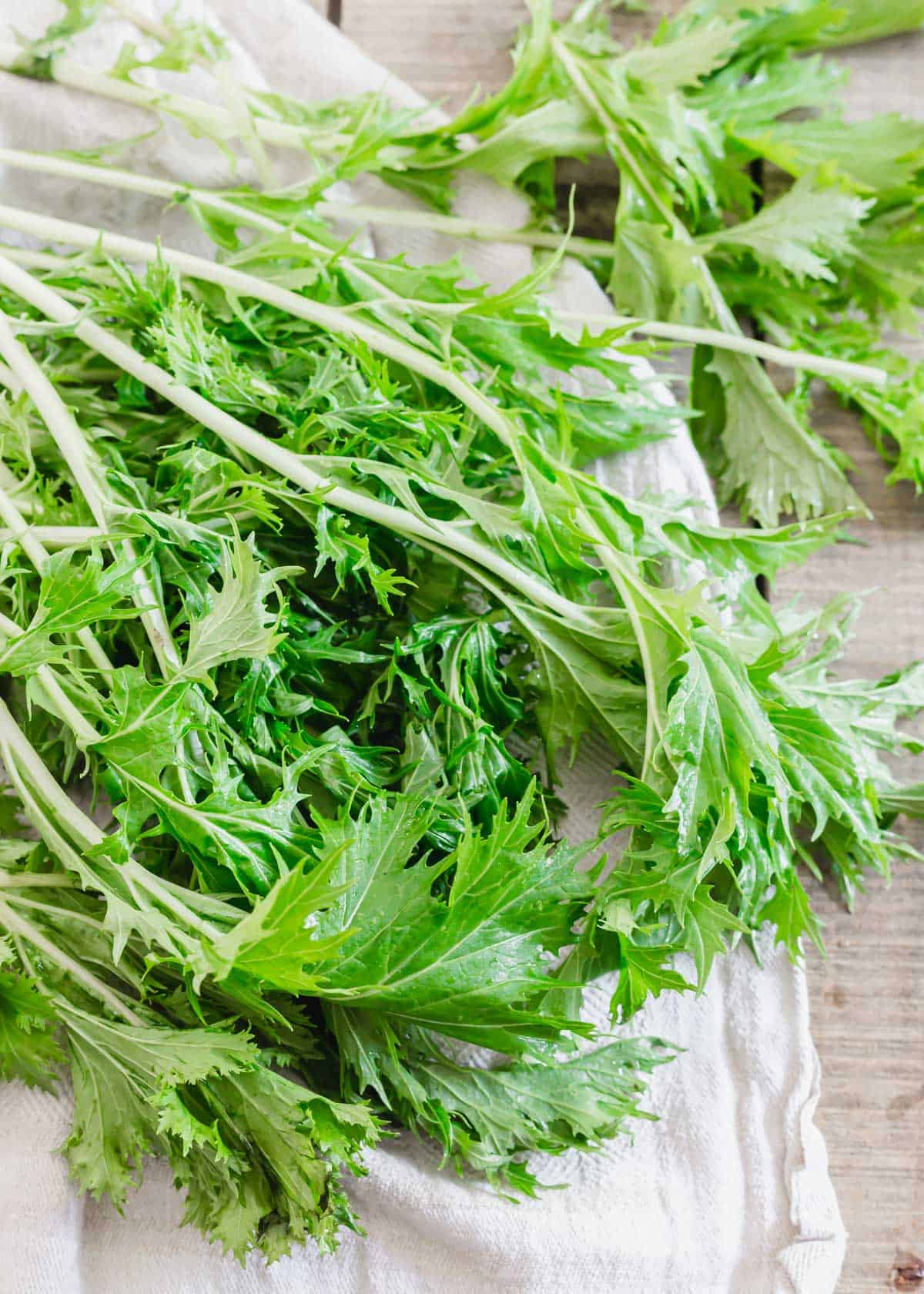 Freshly washed mizuna lettuce greens on a kitchen towel.