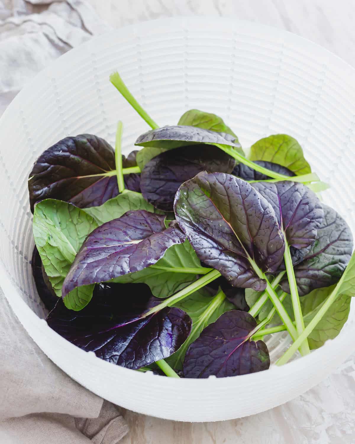 Fresh tatsoi greens in a salad spinner basket.