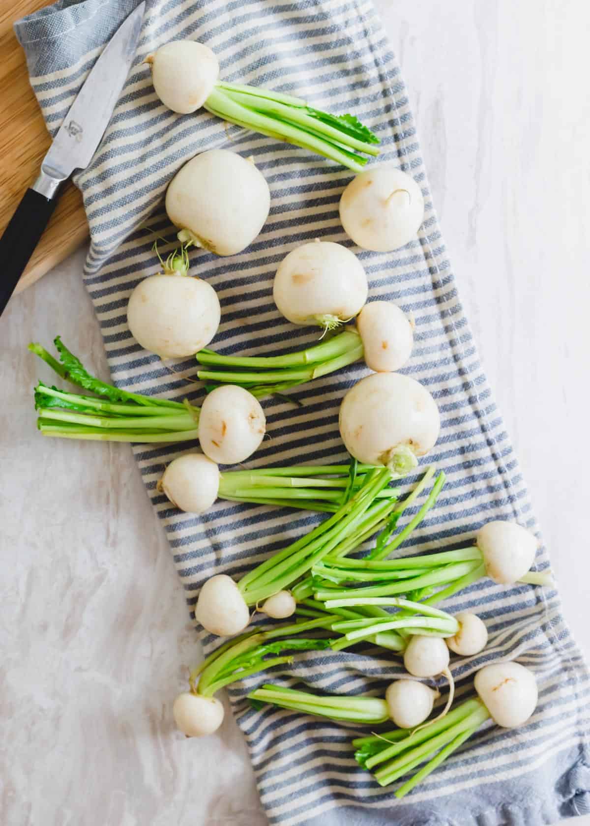 White Harukei turnips with green stems attached on a kitchen towel.
