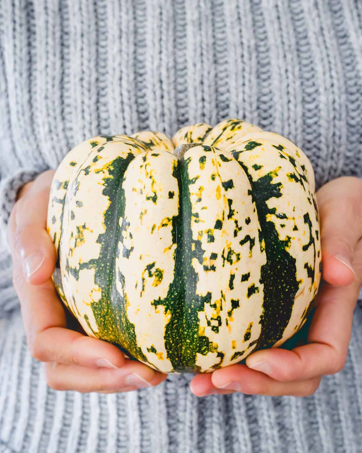 A person holding a sweet dumpling squash.