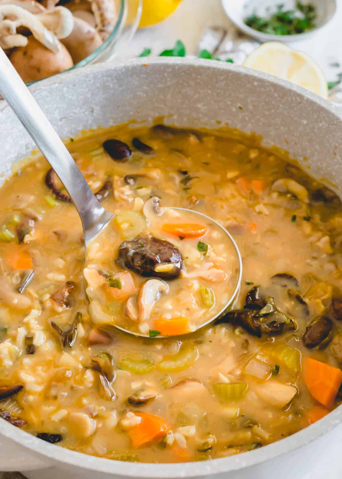 Wild mushroom soup recipe in a pot with a ladle.