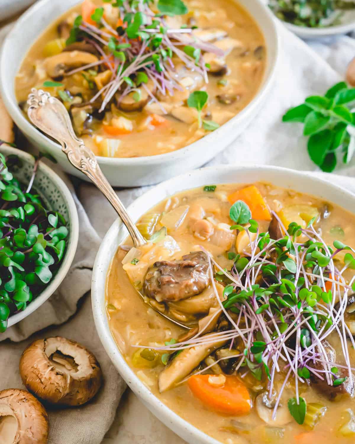 Close-up of mushroom soup with brown rice in a bowl with a spoon.