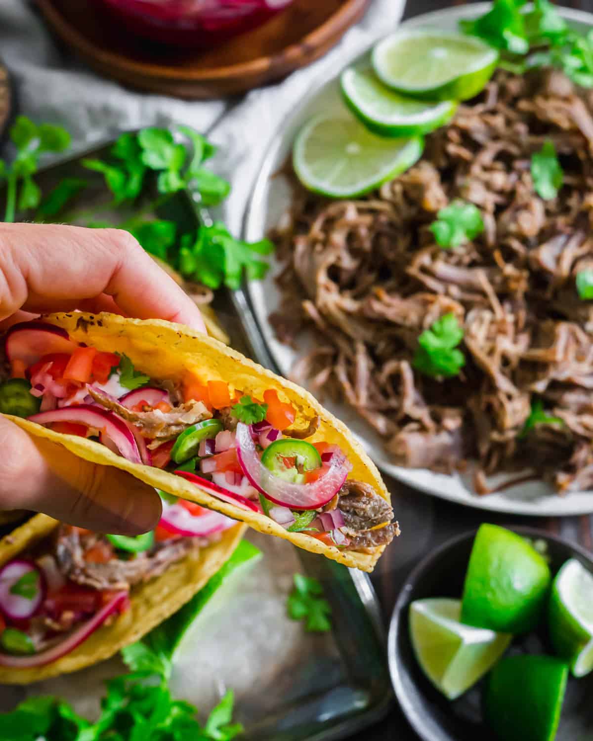 Hand holding a lamb taco.