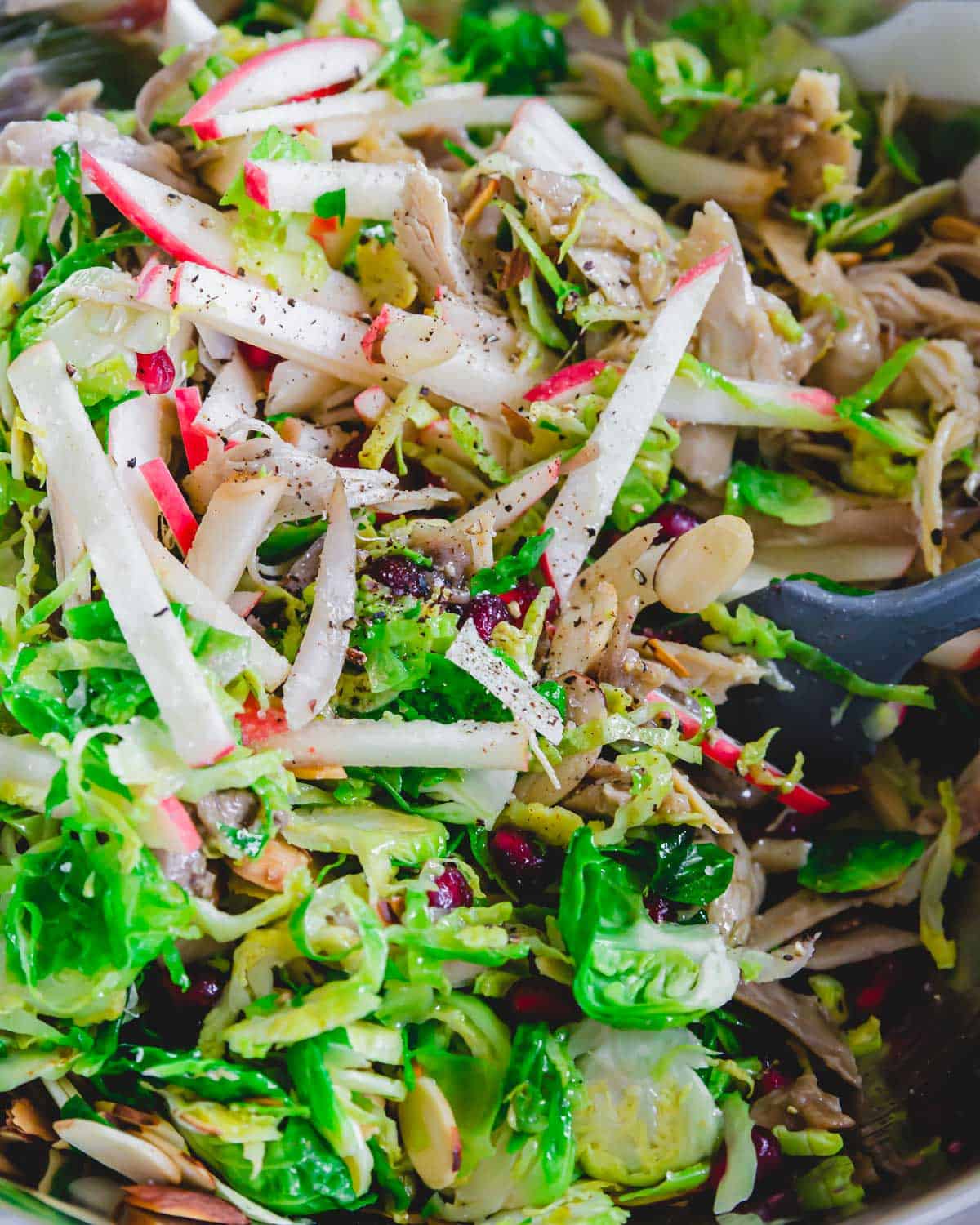 Close up of shredded Brussels sprouts and chicken in a bowl with apple slices, pomegranates, toasted sliced almonds and pecorino romano cheese.