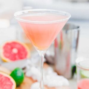 Gin Martini Recipe