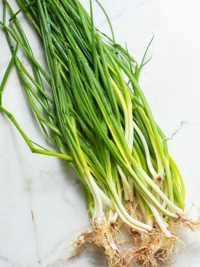 Step By Step Guide: How To Cut Green Onions