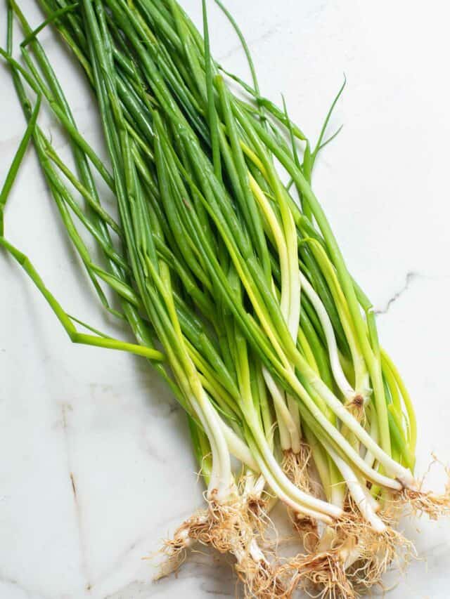 How To Chop Green Onions 