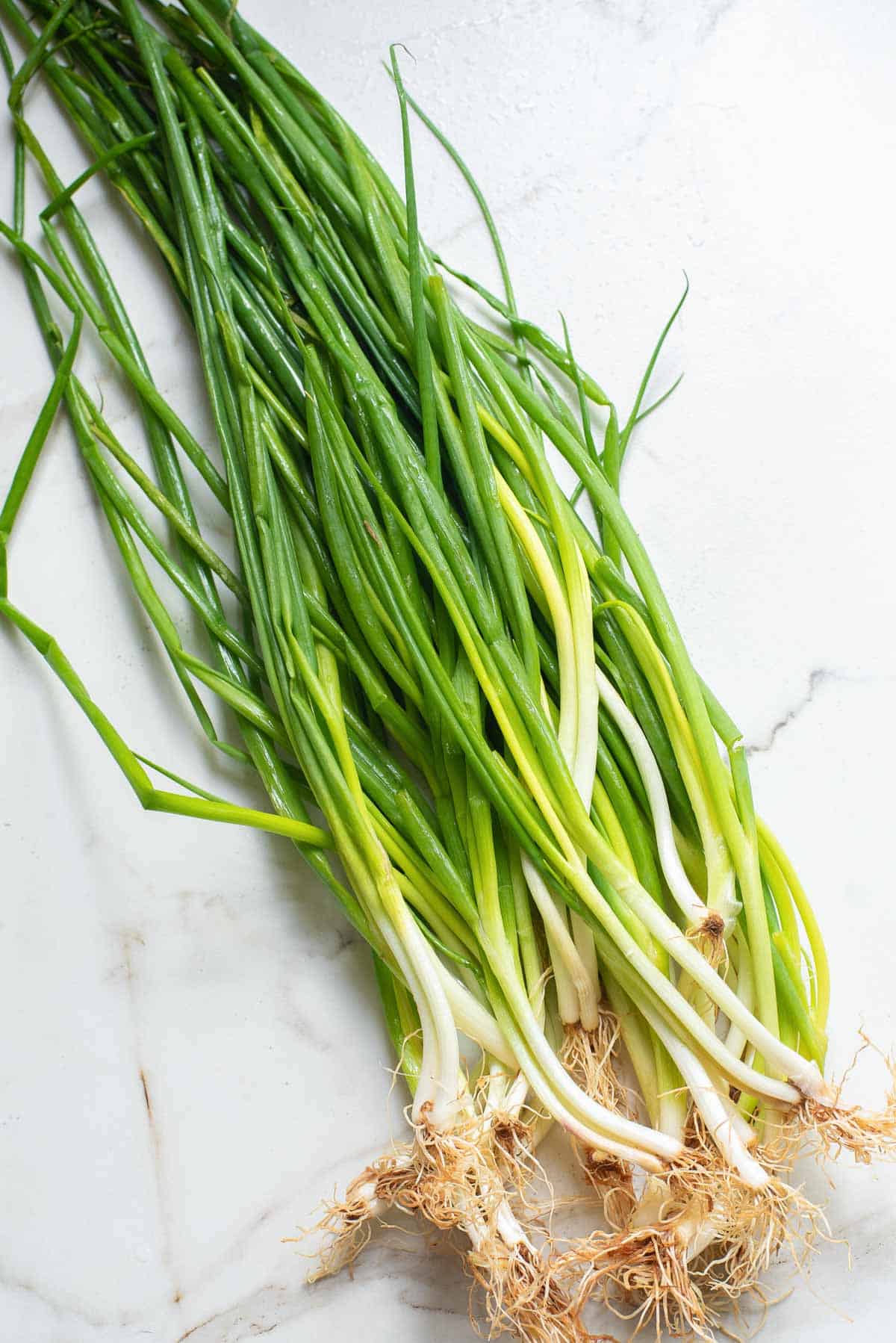 Bunch of green onions on a white surface.