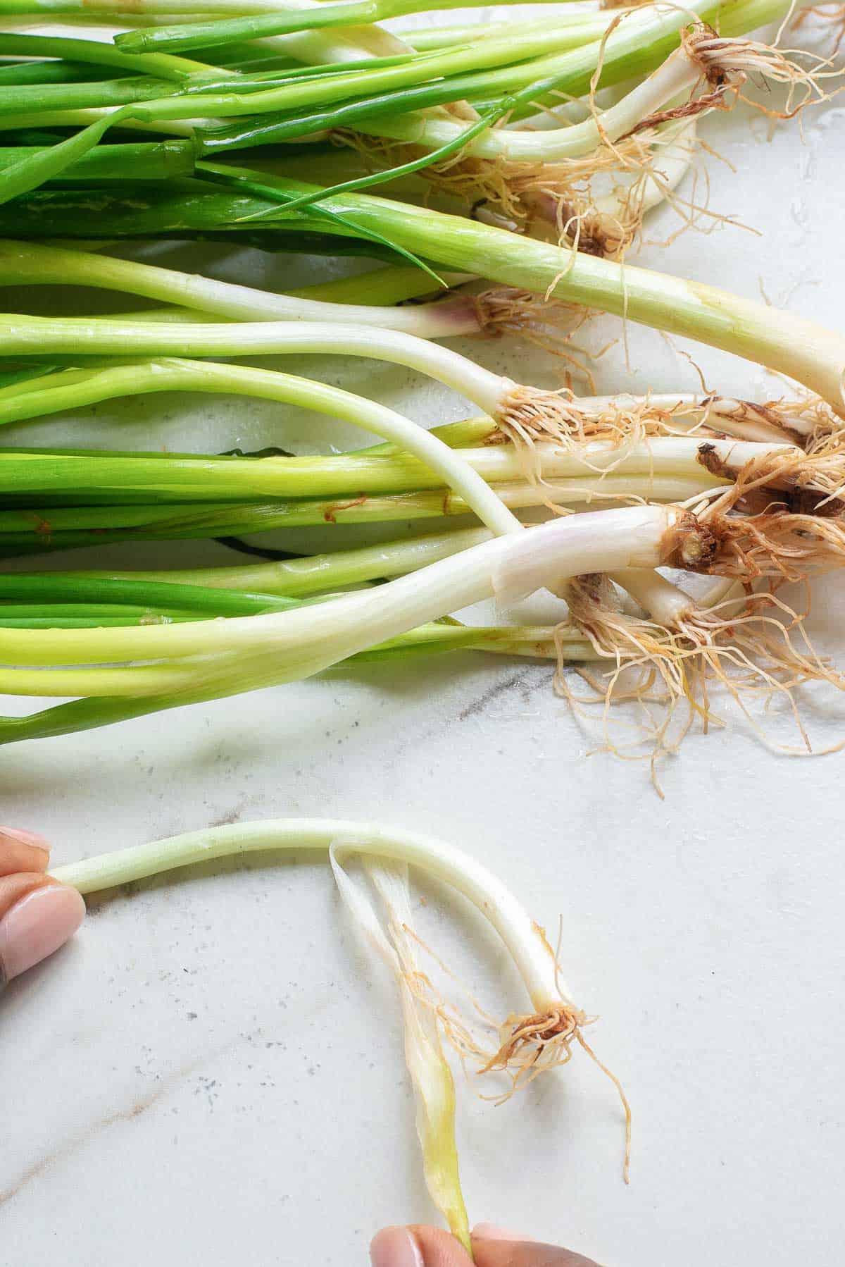 Peeling off outer layers of green onions.