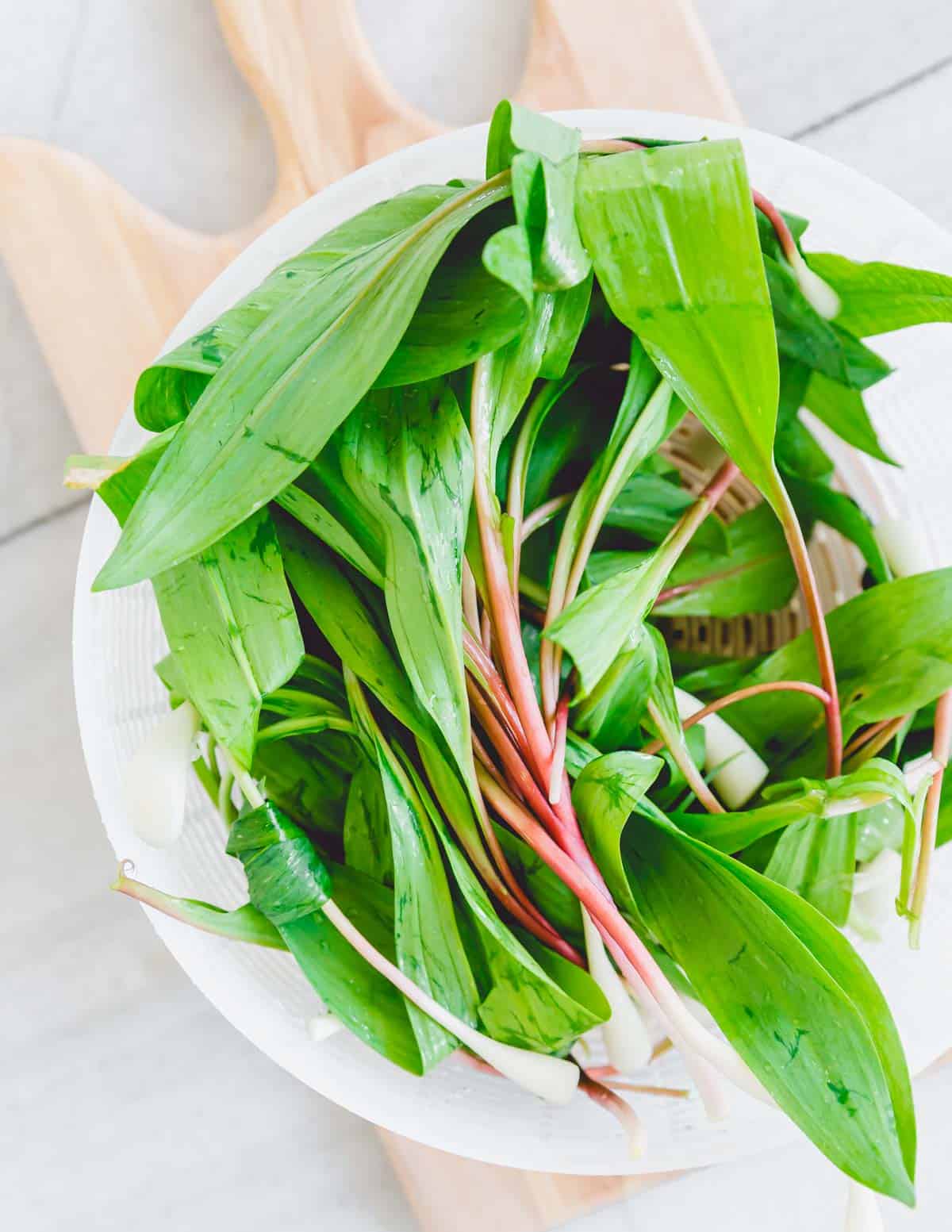 Fresh spring ramps in a bowl.