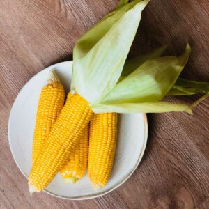Corn on the cob half peeled on a white plate.