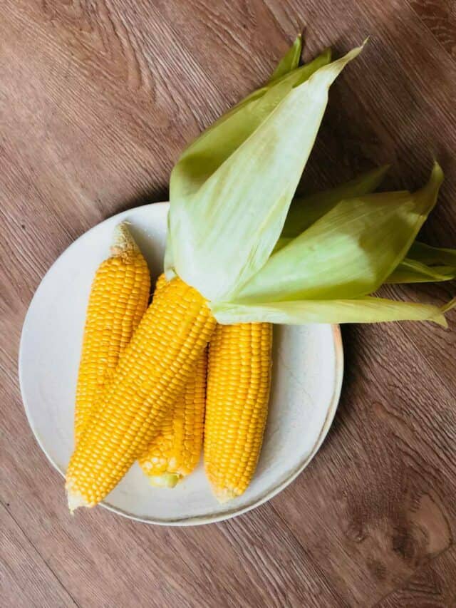How to Properly Freeze Corn on the Cob