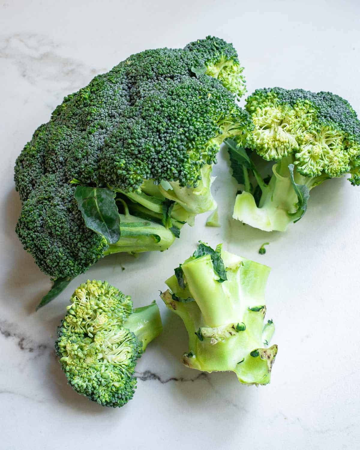 A head of broccoli with large florets broken off.