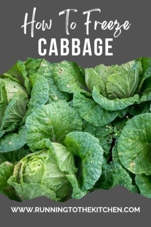 How to freeze cabbage.