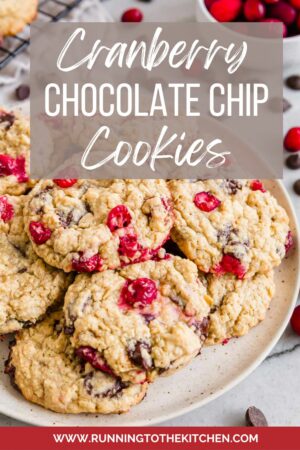 Cranberry chocolate chip cookies on a plate.