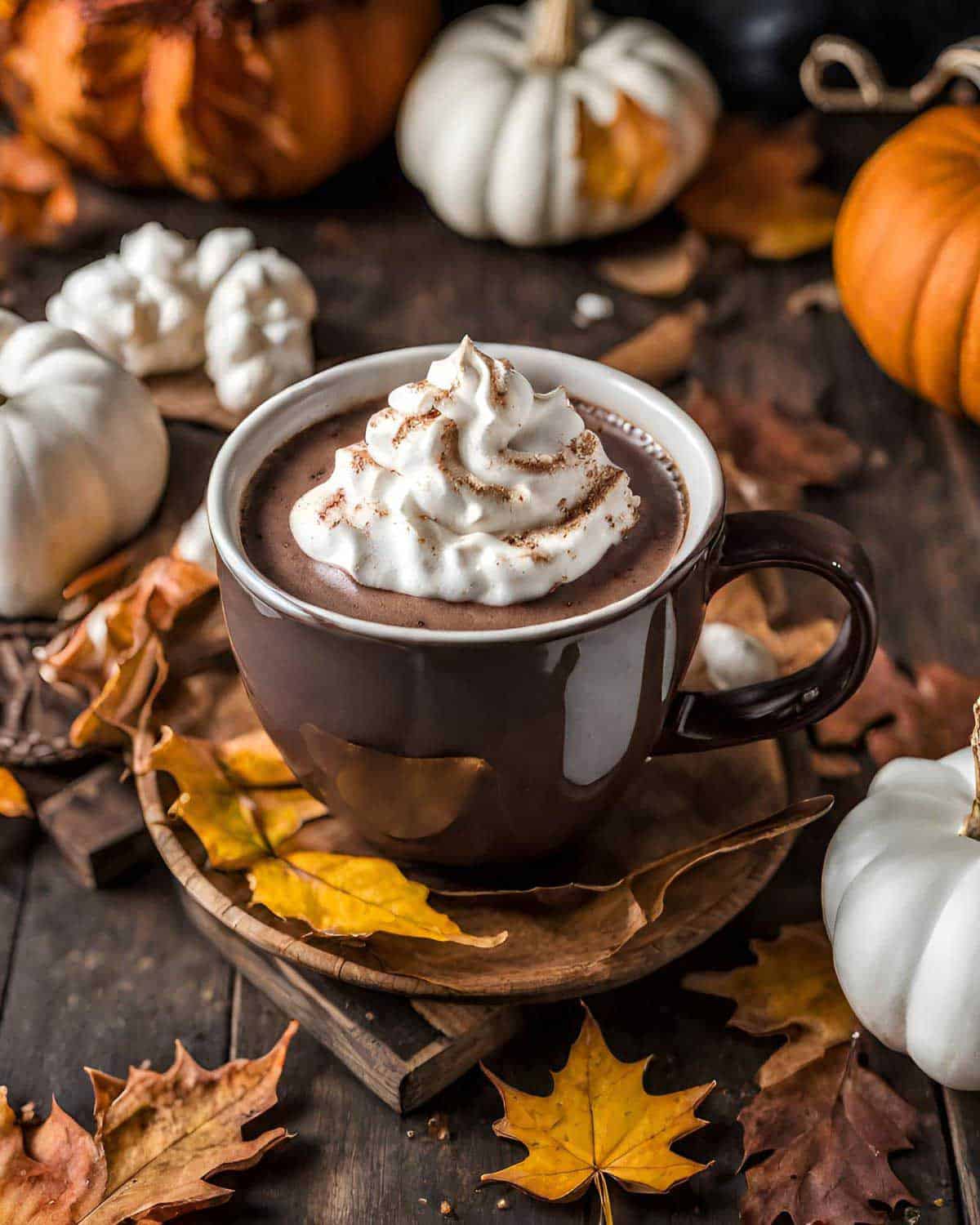 A cup of pumpkin hot chocolate with whipped cream and pumpkins.