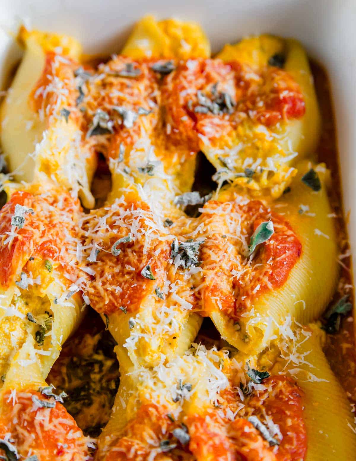 Close up of pumpkin ricotta stuffed shells with sauce and cheese in a baking dish.