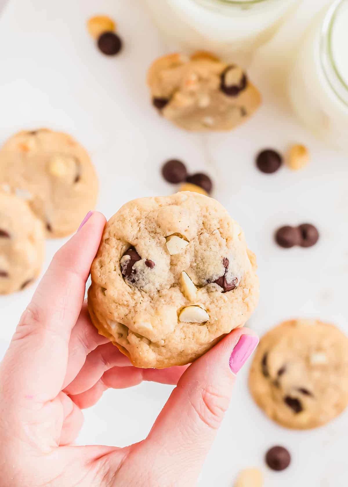 A hand holding a chocolate chip macadamia cookie.